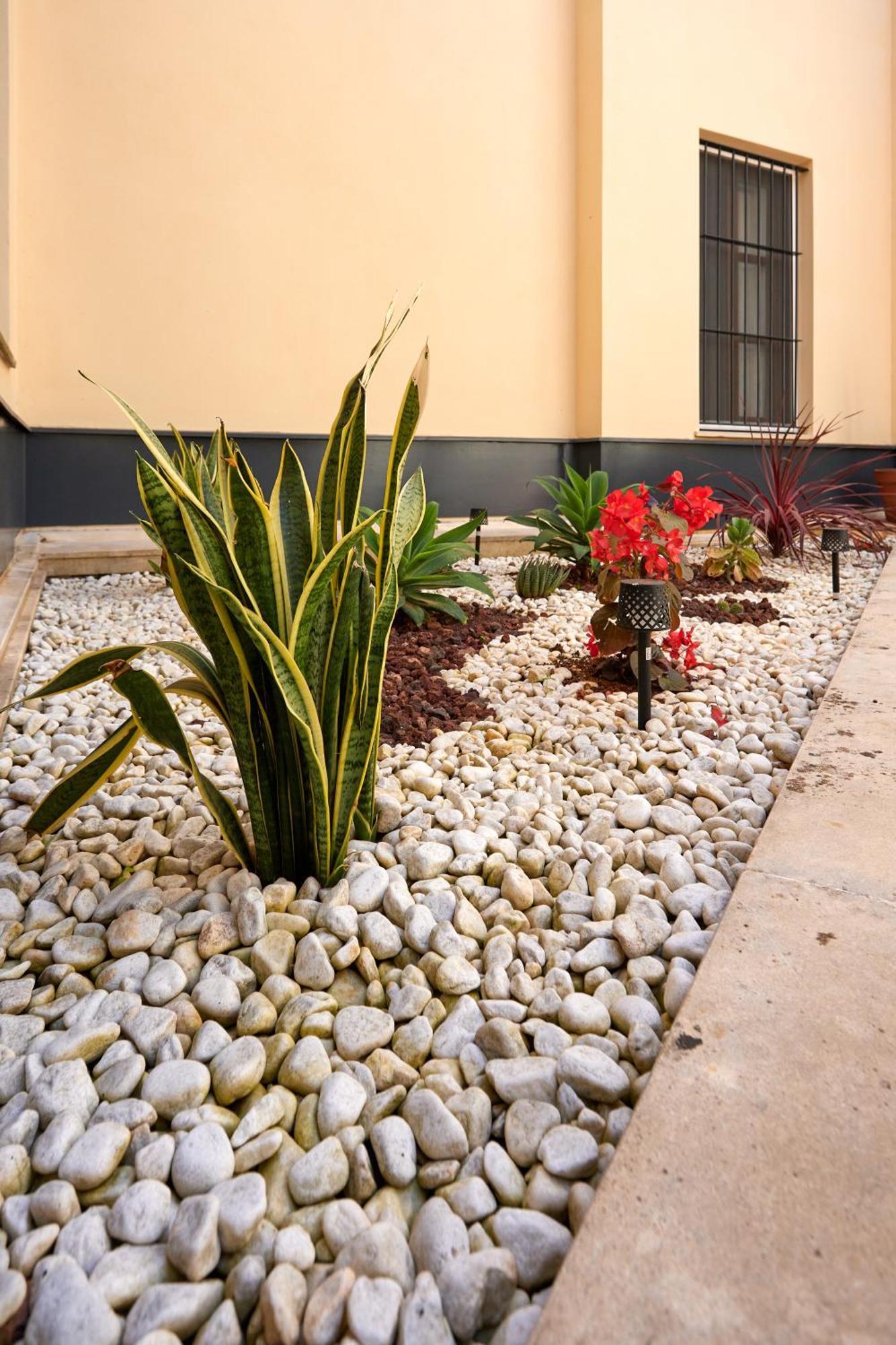 Apartamento Obispo Centro Jerez De La Frontera Bagian luar foto